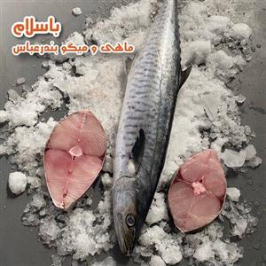 استیک ماهی شیر اصل سایز بزرگ تازه و صید روز بندرعباس ( 2 کیلو گرم )