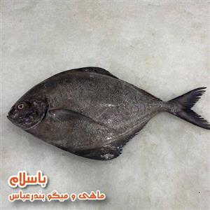 فیله ماهی حلوا سیاه  تازه و صید روز بندرعباس ( 1 کیلو گرم )
