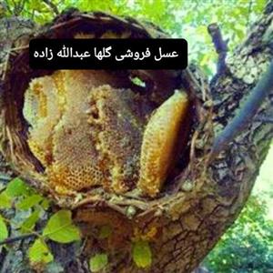 عسل درختی 2کیلو