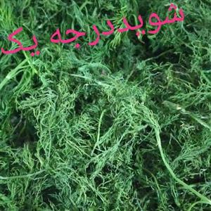 شوید خشک خانگی اعلا