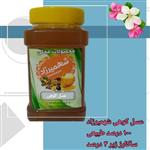 عسل کوهی چهل گیاه شهمیرزاد 1 کیلوگرمی