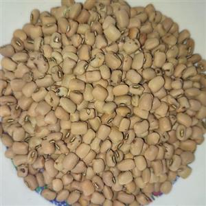 لوبیا چشم بلبلی محلی درجه یک