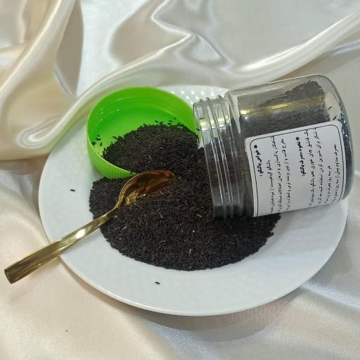 تخم بالنگو