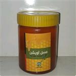 عسل آویشن بشرط آزمایش کد309بدون شکر طعام البرکت 1000گرمی