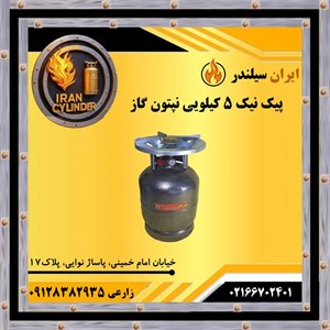 پیک نیک 5 کیلویی نپتون گاز