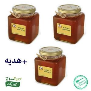 عسل پک 3 کیلویی خام شهد روان دیابتی ارگانیگ چند گیاه کوهستان خلخال