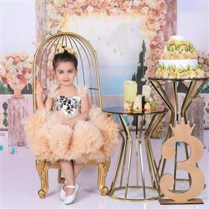 تم تولد کودک موجود در اتلیه،مناسب جایگزینی عکس کودک شما