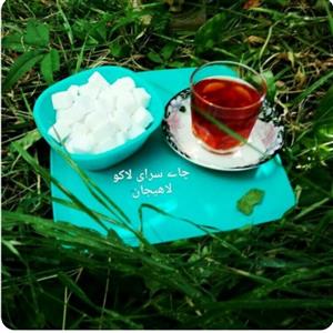 چای شکسته ممتاز لاهیجان با عطر و طعم و رنگ عالی (800 گرمی) محصول 1401