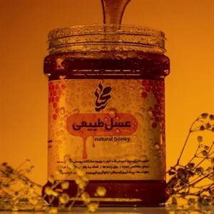 عسل کنار *سدر* ( 1 کیلویی ) برند پاک