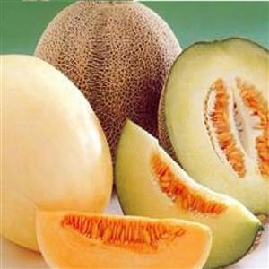 اسانس مایع خوراکی طالبی برند آلمانی در بسته بندی 100 گرمی