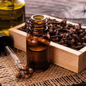 اسانس مایع خوراکی میخک برند آلمانی در بسته بندی 100 گرمی
