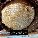 عسل طبیعی حصیری مومدار(عسل مادر 