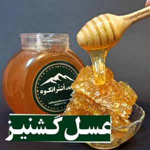 عسل گشنیز چند گیاه نیم کیلویی دارای تضمین تایید کیفیت در آزمایش6