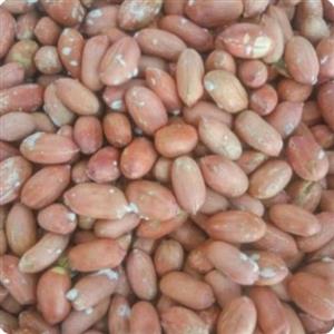 بادام زمینی درجه یک یک کیلویی1401