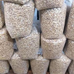 بادام کره گیری 10 کیلویی