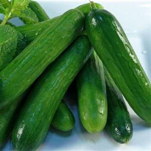 بذر خیار امپراطور هیبرید 10 عددی