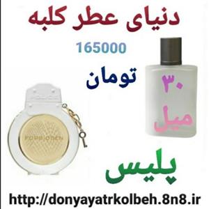 عطر پلیس 30 میل