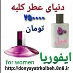 عطر ایفوریا 50 میل