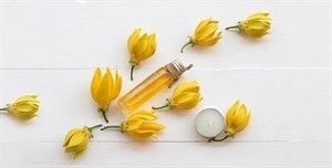 عطر گل یخ 100 میل