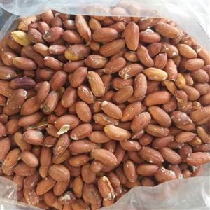 بادام زمینی آفتابی ریز1401