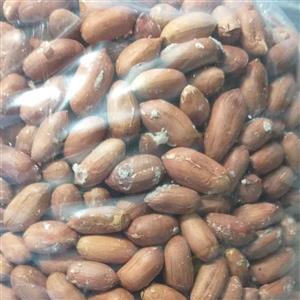 بادام زمینی امساله 1401  تازه دو کیلو
