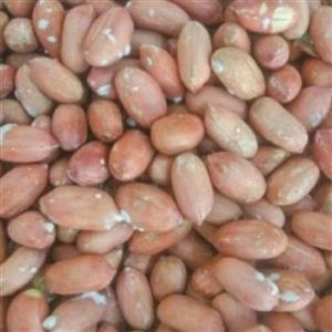 بادام زمینی درجه یک1401
