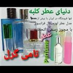 عطر تامی گرل