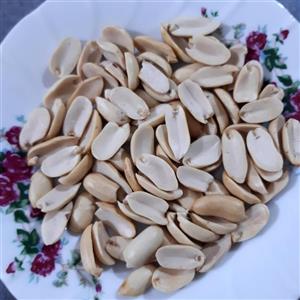 خرید بادام زمینی جهت کره گیری