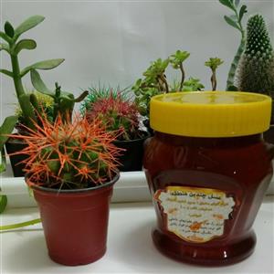 عسل چندین منطقه ( 460گرم خالص )(طبع : معتدل )