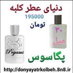 عطر پگاسوس 30 میل