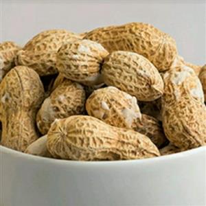 بادام زمینی باپوست فدک (250گرم)