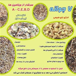 مغز استخوان ساز (5ستاره ) 200گرمی