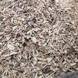 برگ سنجد جهت تقویت باروری یک کیلو