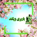 عطرباربری (ویکند) درجه یک با ماندگاری خیلی خوب