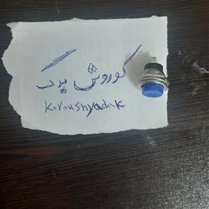 کلید فشاری لحظه ای مناسب برای تمامی خودرو ها