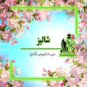 عطر رمی مارکویس شالیز مردانه درجه یک با پخش بوی عالی