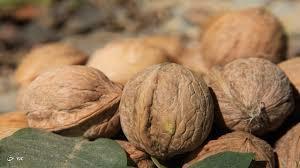 گردو چرب جاغرق بسته یک کیلویی