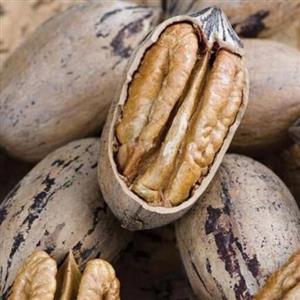 گردو پکان 100 گرمی