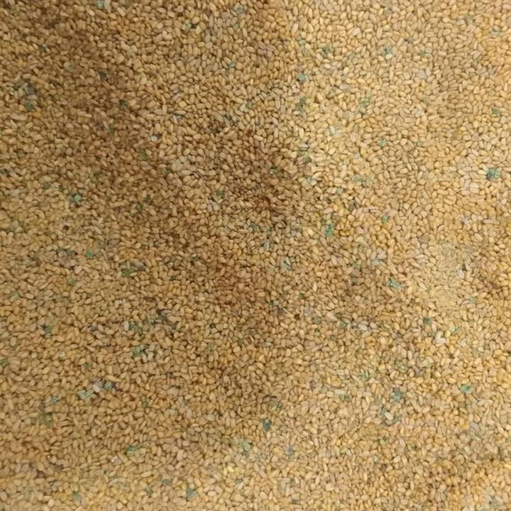 خاکشیر فله ای