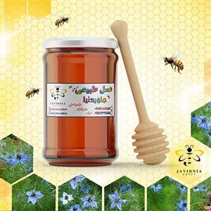 عسل طبیعی سیاهدانه منطقه کردستان 900 گرمی