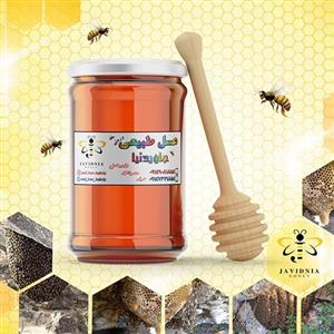عسل ارگانیک جنگلی منطقه کردستان 900 گرمی