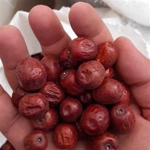 عناب بیرجند1400 خیلی خوب خشک وبدون کرم خوردگی (1کیلو گرمی)