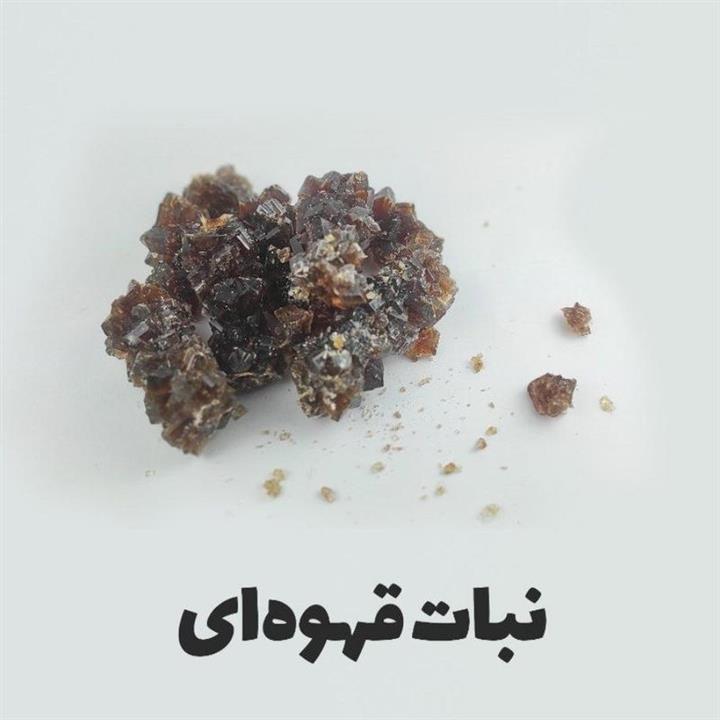نبات نیشکر