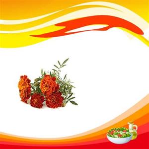 بذر گل جعفری خوراکی 20 عددی