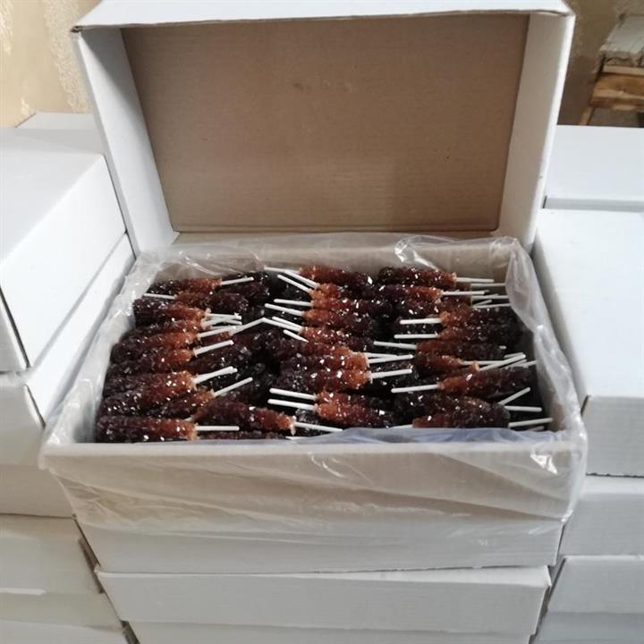 نبات نیشکر