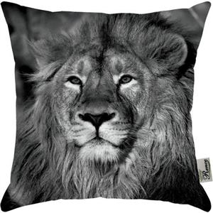 کوسن مخمل رنس مدل S1-10851 سایز 43x43 سانتی متر