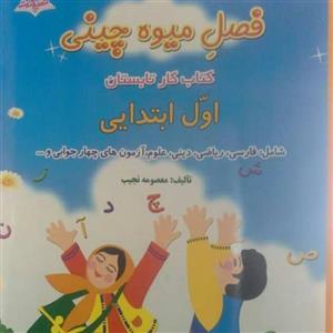 فصل میوه چینی کتاب کار تابستان اول ابتدایی