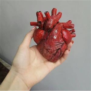 ماکت قلب آناتومیک ( اکسسوری  دکوری   قلب   دکوری  آناتومی   آناتومیک   واقعی   انسان  سه بعدی  هدیه   کادو پزشکی )