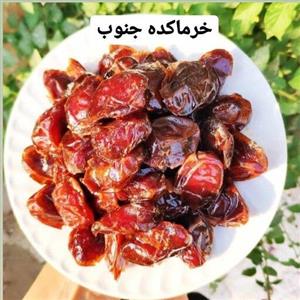 خرما کبکاب پرشیره امساله برداشت شهریور 1401
