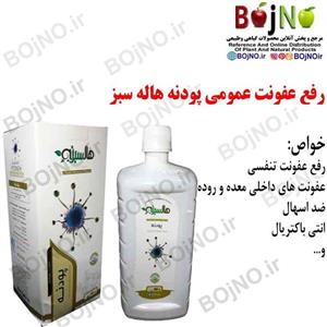 رفع عفونت عمومی پودنه هاله سبز